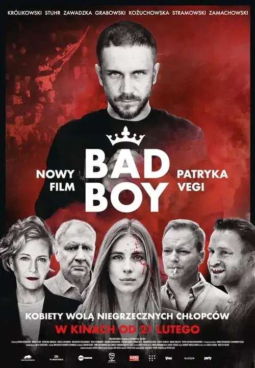 Download Bad Boy (Season 1) Dual Audio {Hindi English} Netflix Series 480p | 720p | 1080p WEB DL 18 bad boy season 1