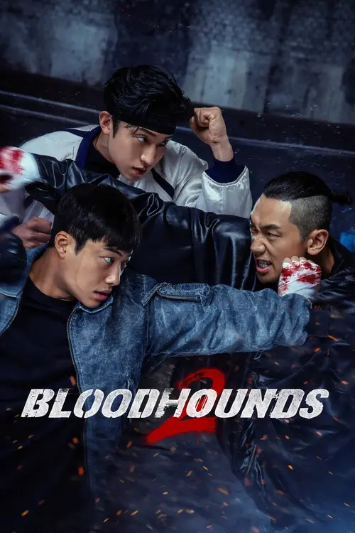 Download Bloodhounds (Season 1 – 2) Multi Audio {Hindi English Korean} NetFlix Series 480p | 720p | 1080p WEB DL 22 bloodhounds season 1