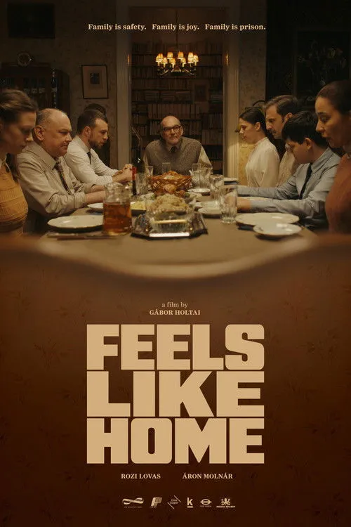 Download Feels Like Home (Season 1 β 2) Hindi Lionsgate Play Complete WEB Series 480p | 720p HDRip 13 feels like home season 1