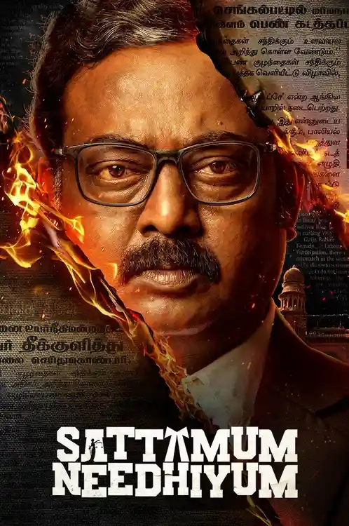 Download Sattamum Needhiyum (Season 1) Hindi Complete Zee5 Web Series 480p | 720p | 1080p WEB DL 8 sattamum needhiyum season 1